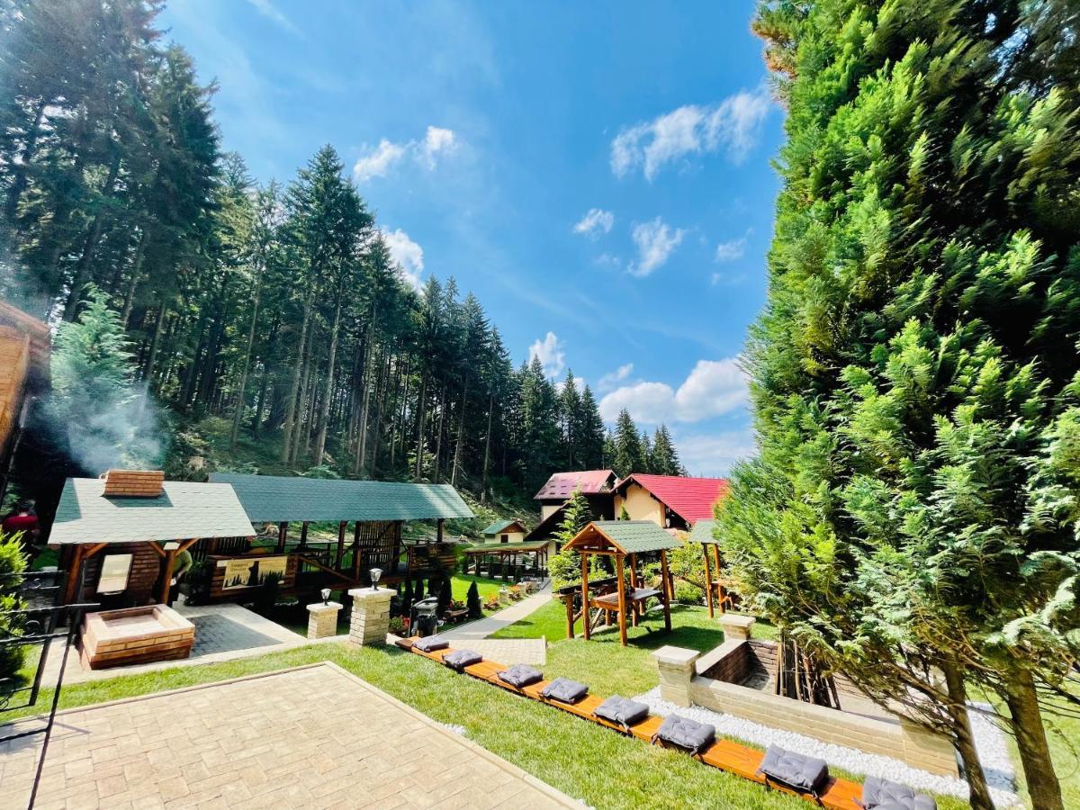 Boutique Hotel Casa Emil Poiana Braşov Dış mekan fotoğraf